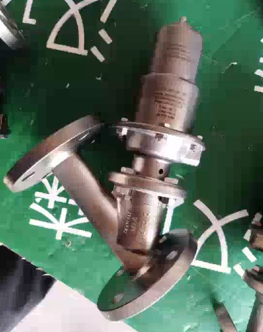 1775813829242958.jpg 1675315425261.jpg